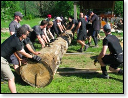 page1_blog_entry20-03---strength