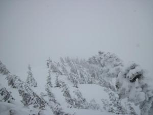 420609_10151672251703474_881599529_n