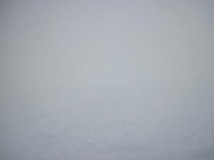 600827_10151672252023474_942781518_n