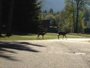 923023_10151675552458474_1353835139_n